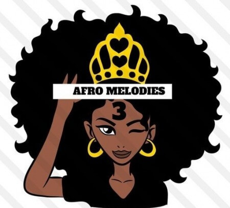 HOOKSHOW Afro Melodies 3 WAV